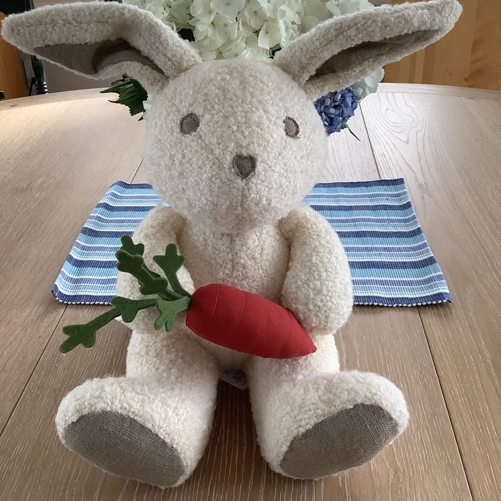 NWT Pottery Barn Zoe Bunny Plush Pillow Carrot Home Decor